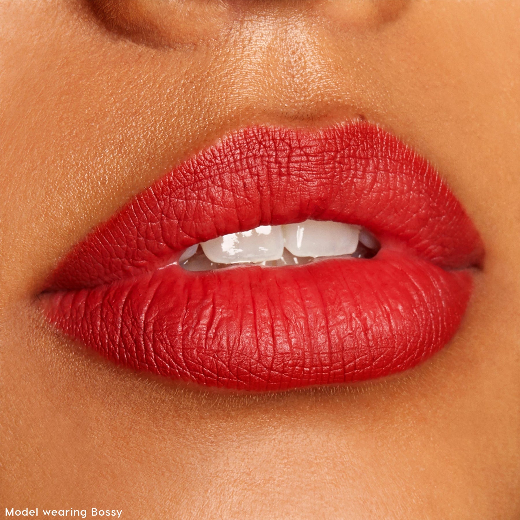 The Lil Box of Lippie Pencils - Lightweight Iconic Lip Palette