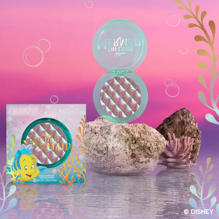 Not A Guppy - Expressive Contemporary Cheek Palette