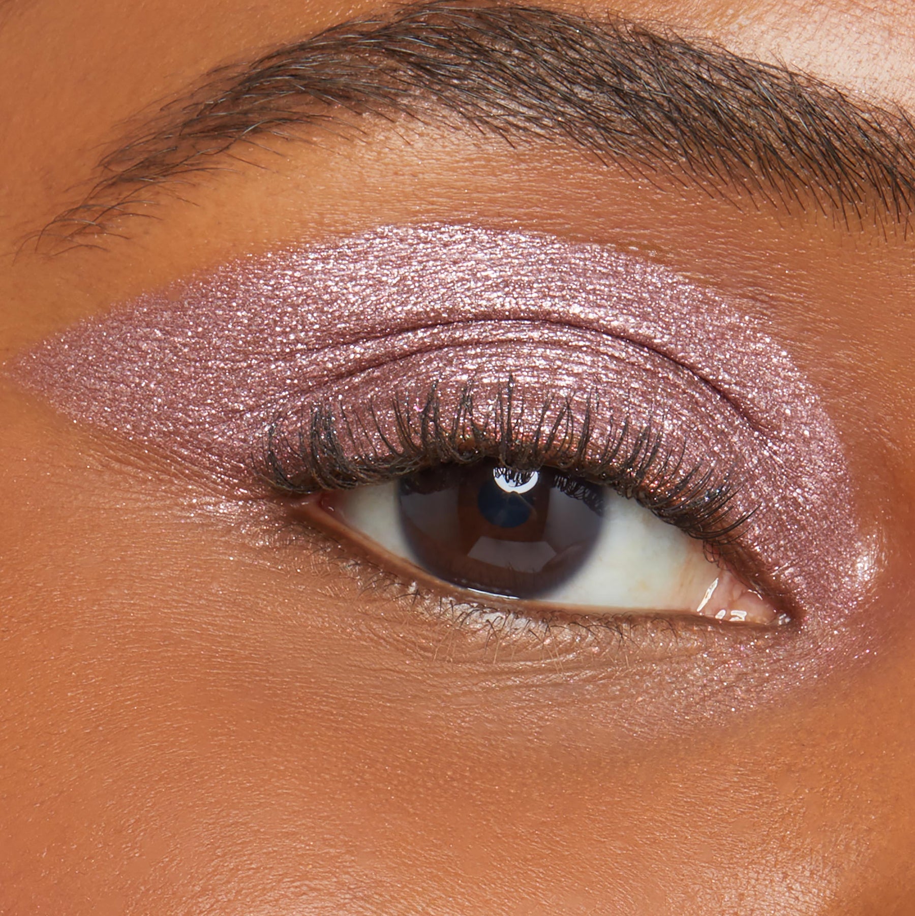 Neutral Swipe - Rosy Iconic Eye Duo