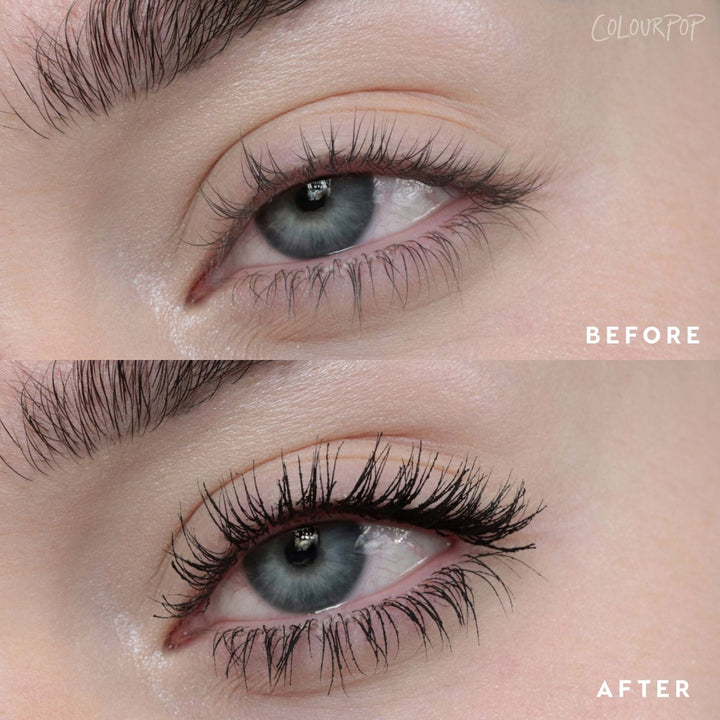 Black on Black - Prismatic Complete Lash Fan